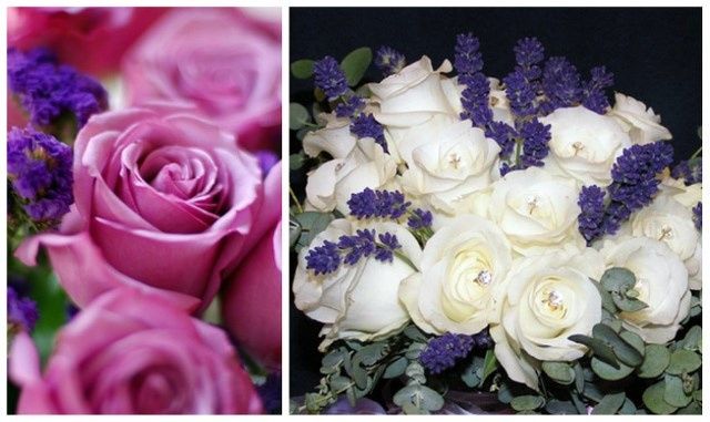 Rosas