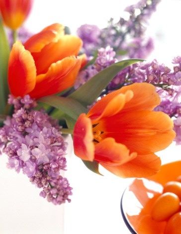 Un ramo en los colores de la primavera