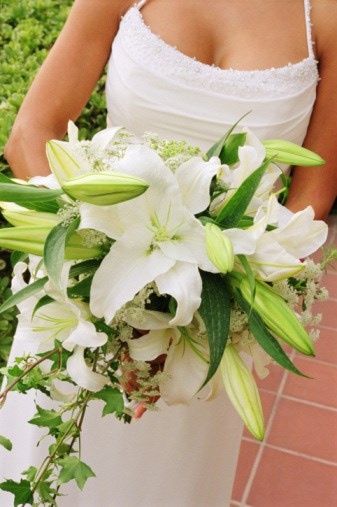 clásico ramo de novia blanco 