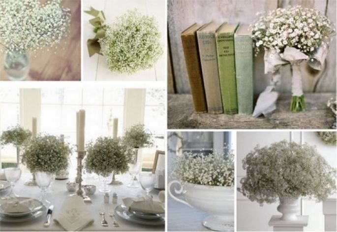 Análoga y Monocromática