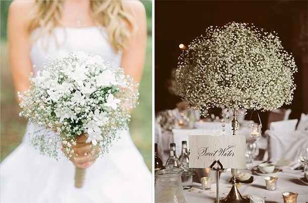 baby breath