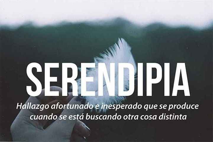 Serendipia