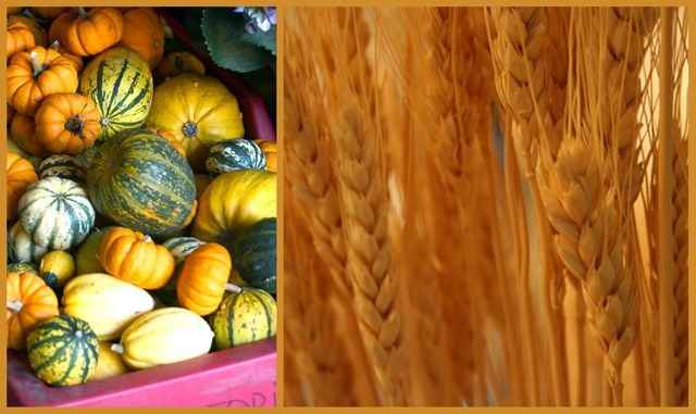 Calabazas