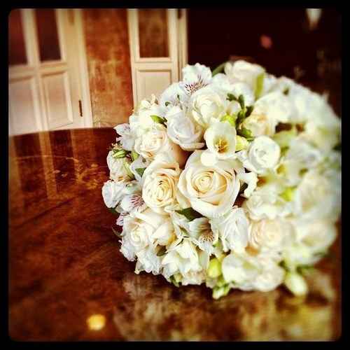 Flores