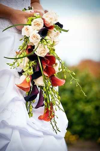Flores