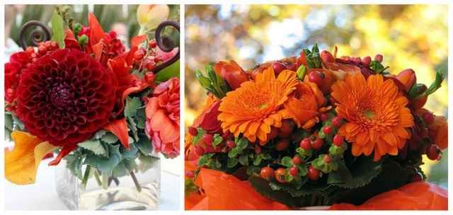 Gerberas