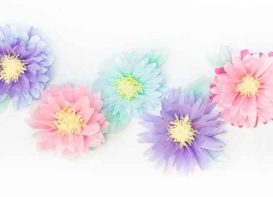 Flores gigantes de papel tissue