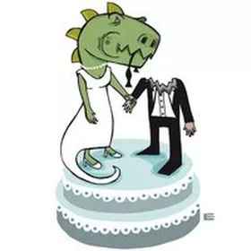 Cosas que nadie te dice antes de casarte 📖📚📖 - 2