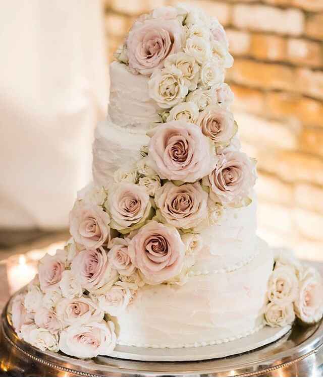 Elige y gana - Pastel - 1