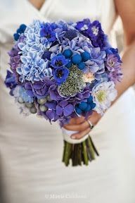 La elección del ramo!!!! - 1