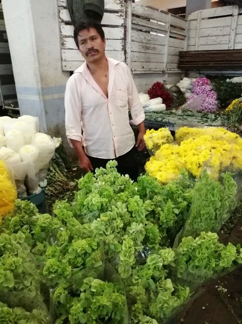 Mi experiencia en el mercado de Jamaica :d - 4