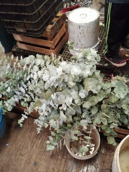 Mi experiencia en el mercado de Jamaica :d - 6