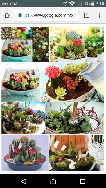 Lindos detalles con suculentas - 2