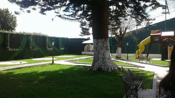 Arbol de deseos en  salon jardin - 5