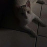Nena