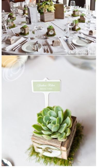 Detallitos de boda en tuxtla gutiérrez - 1