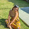 Andrea