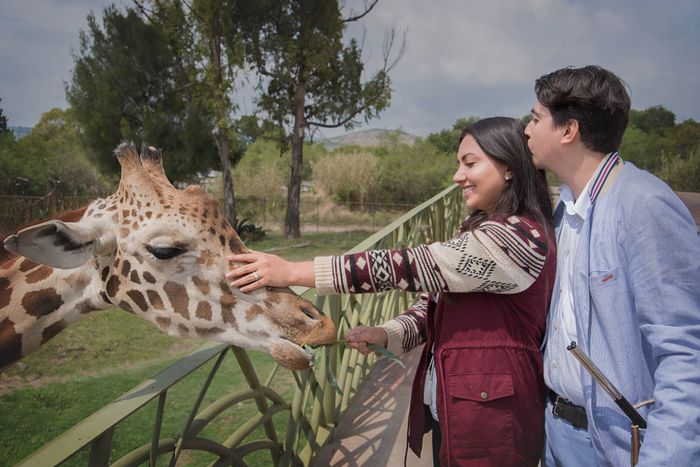 Como se los propusieron??? - 1