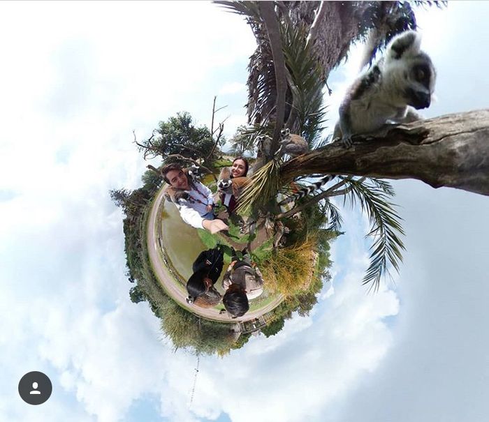 ¿cómo fue cuando les entregaron el anillo? - 1