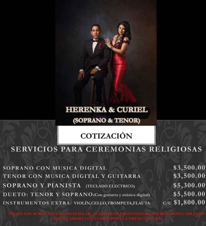 Busco coro en Puerto Vallarta - 1