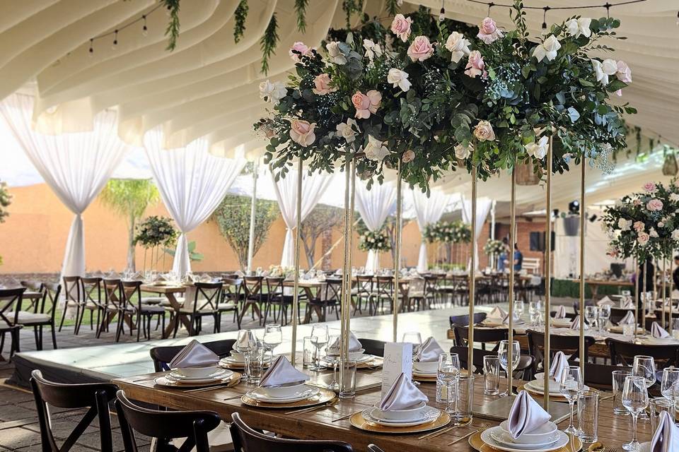 Terranova Eventos