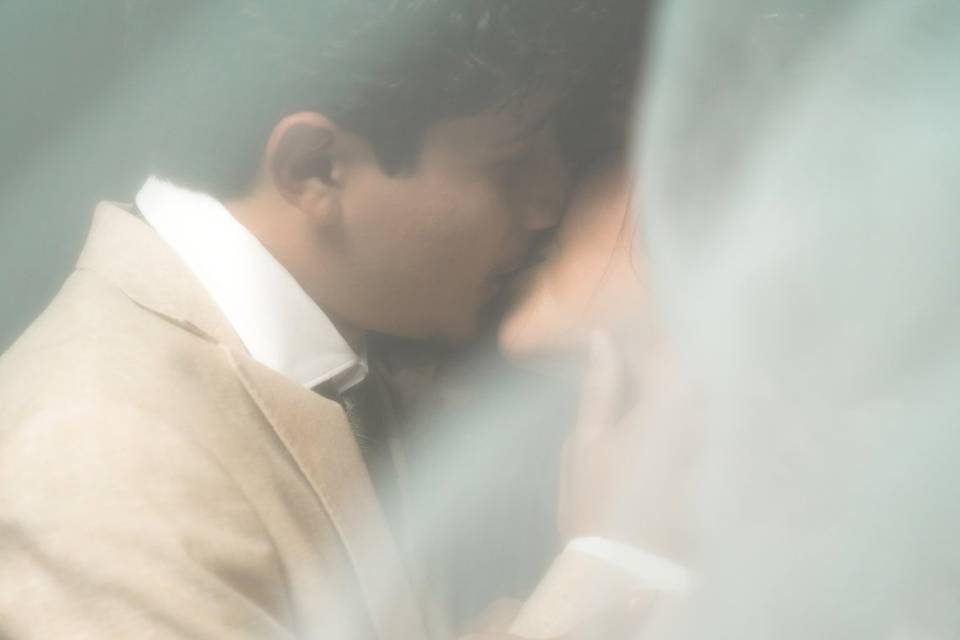 Novios a&m
