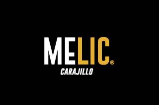 Melic Logo