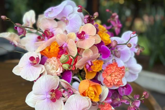 Florería Phalenopsis
