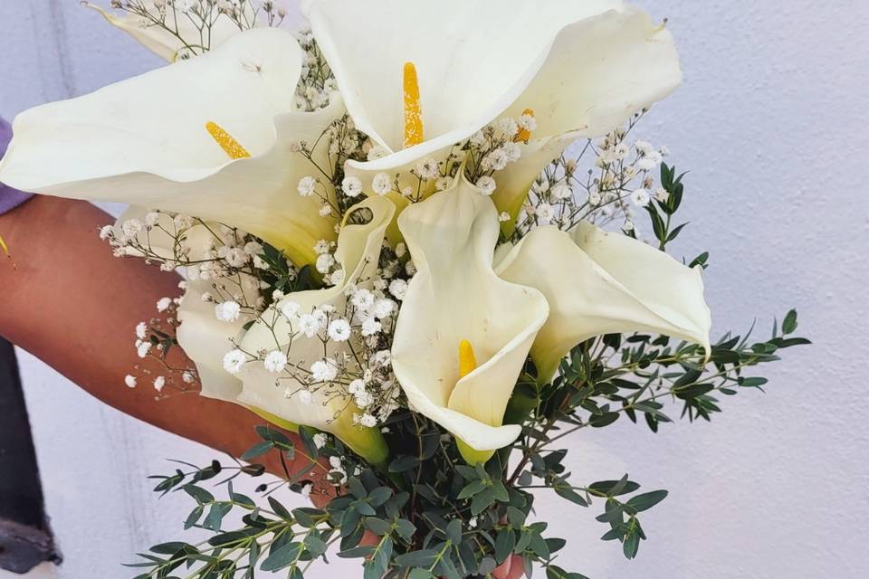 Bouquet de alcatraz
