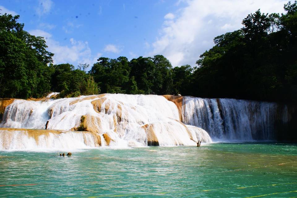 Agua azul