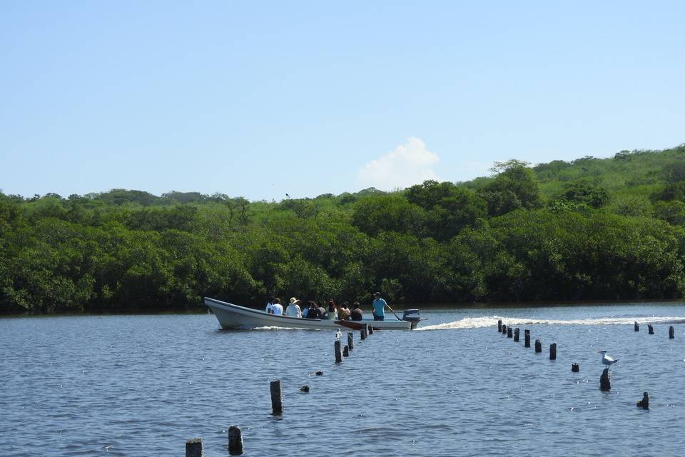 Reserva La Mancha Laguna