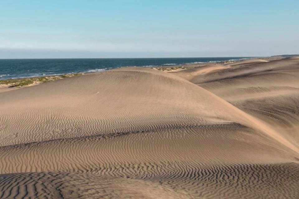Reserva La Mancha