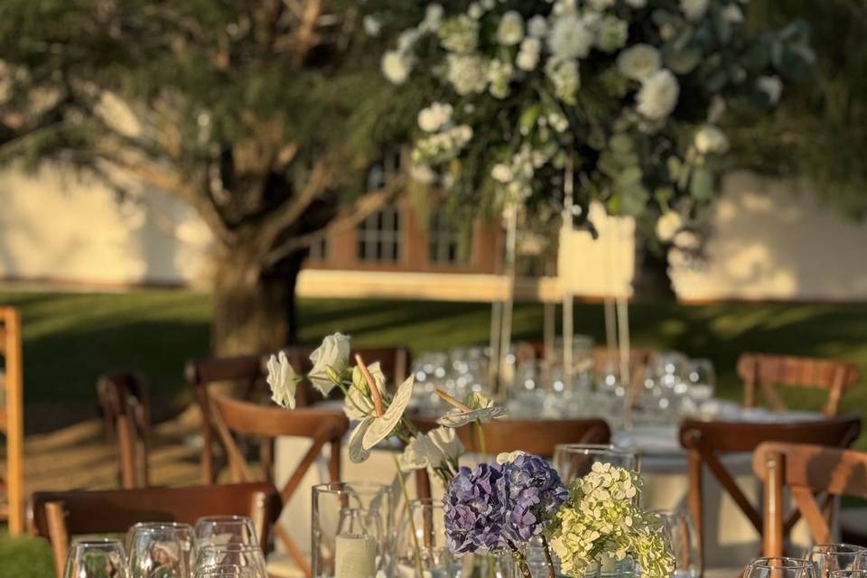 Asesoría de proveedores