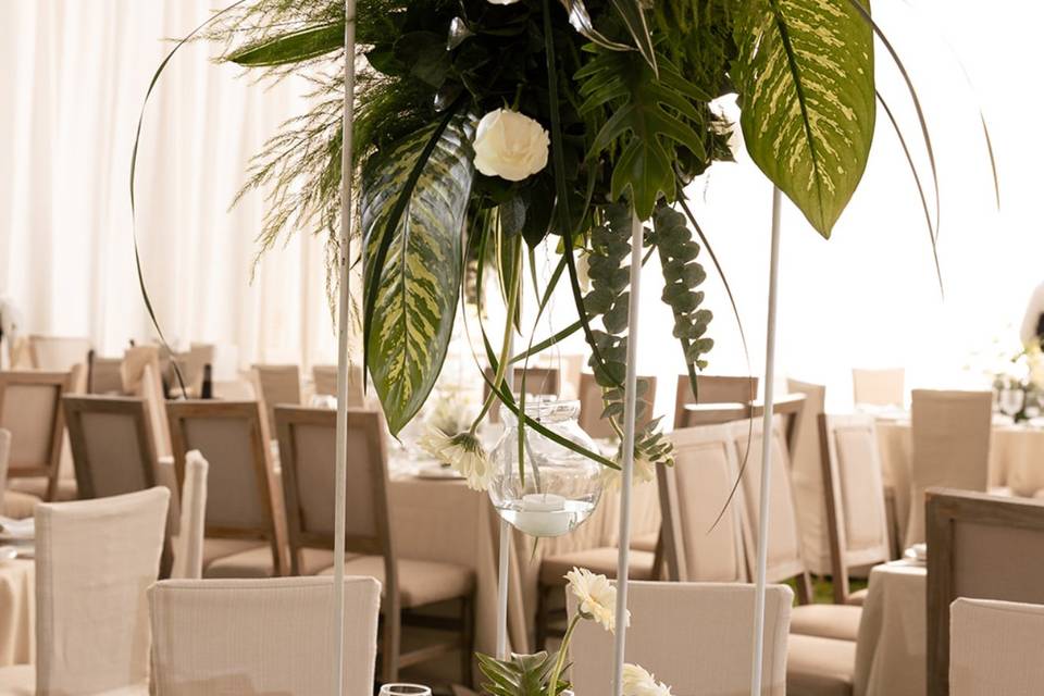 Experiencia y creatividad