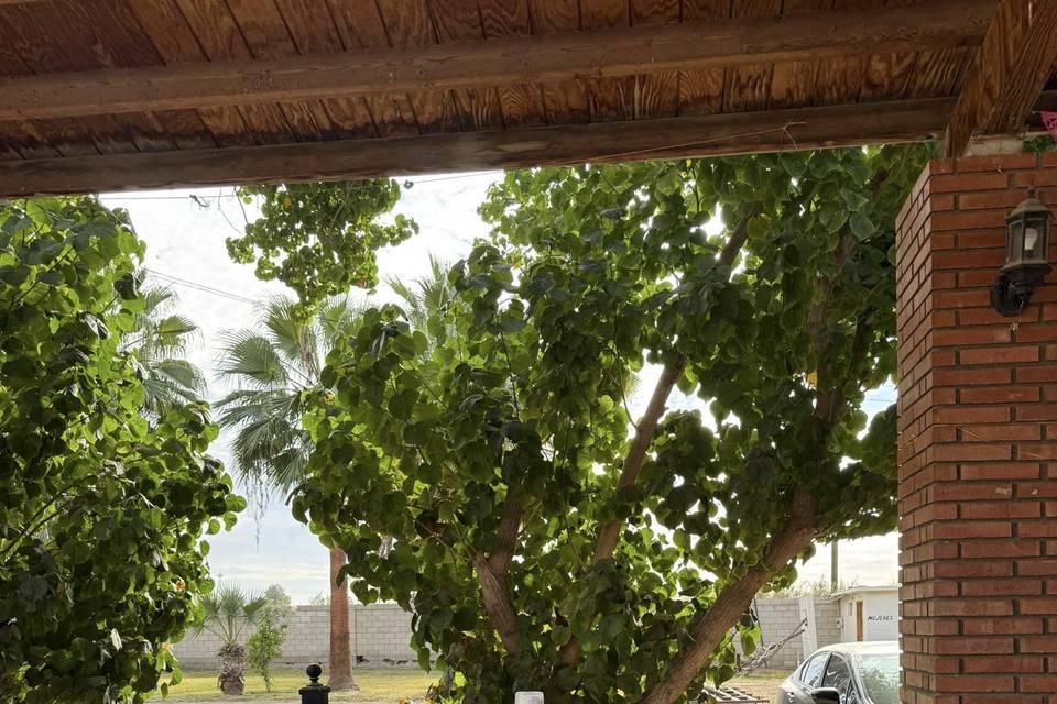 Barra de snacks