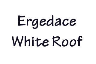 Ergedace White Roof logo