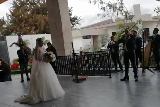 A&A Wedding Planner