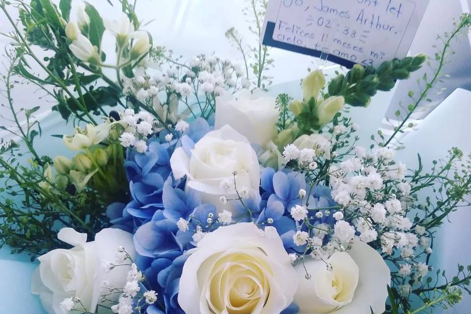 Azul y rosas blancas