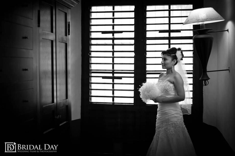 Bridal Day