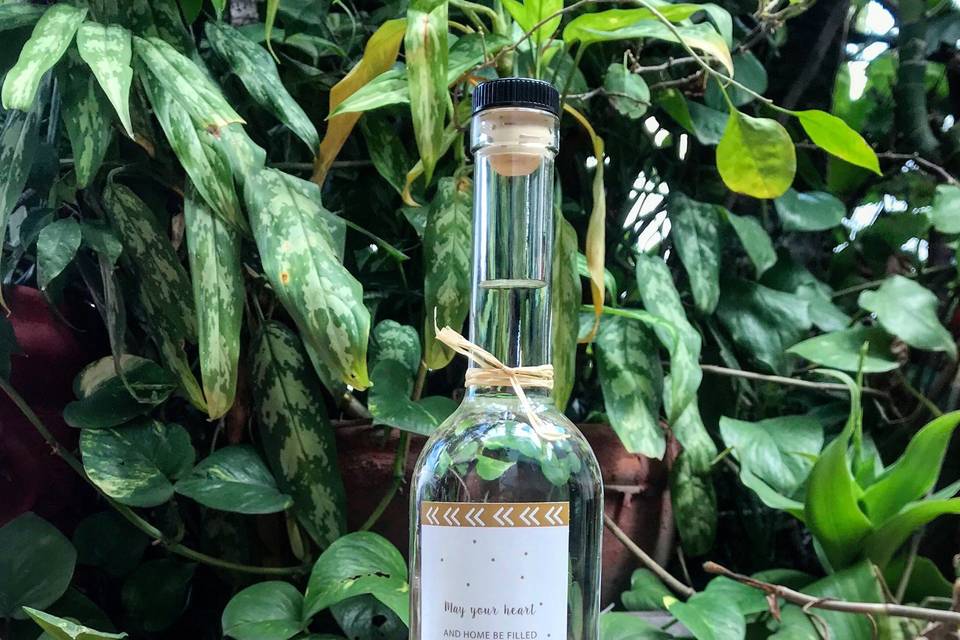 Mezcal Cielo Oaxaqueño