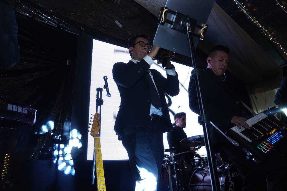 Musicos
