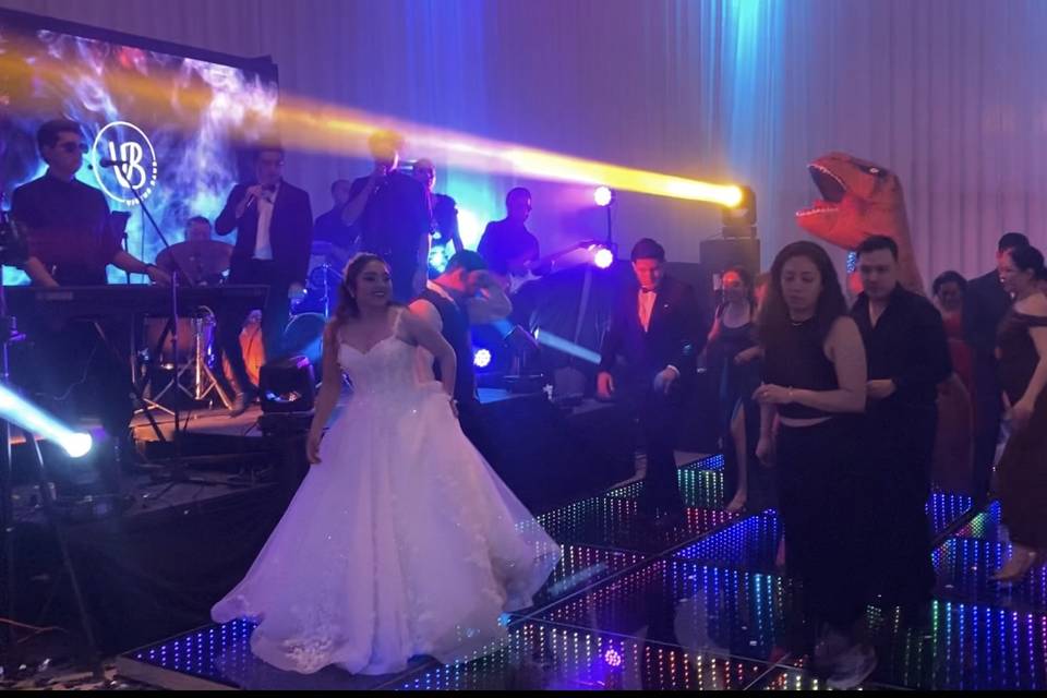 T-Rex ANT