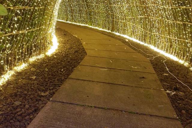 Túnel de series