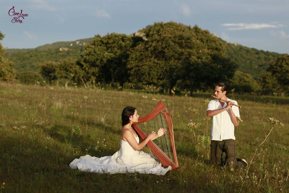 Preparación