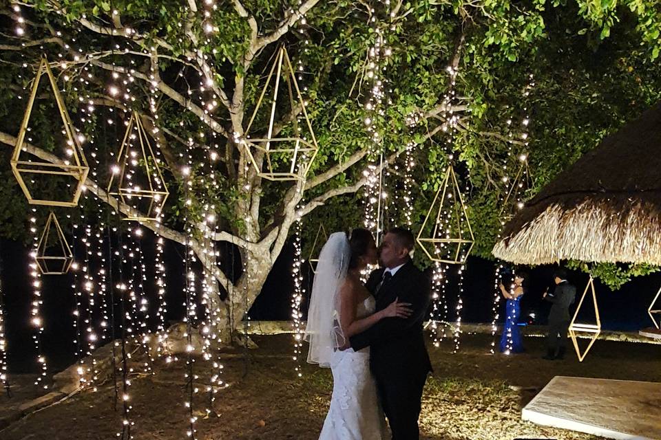 Árbol con cascadas de luces