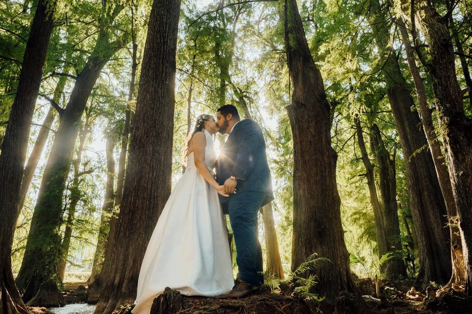 Ale & andrés, trash the dress