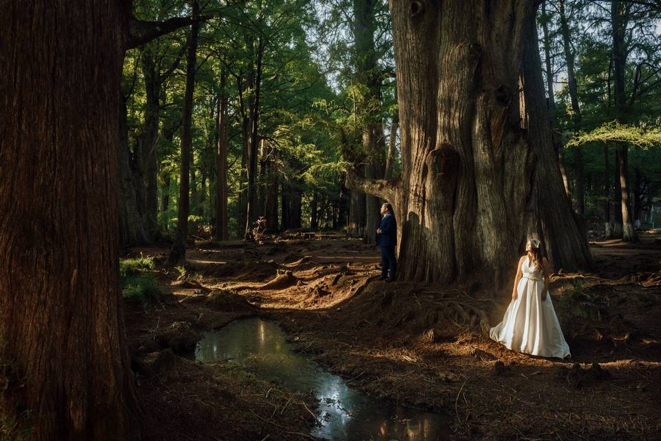 Ale & andrés, trash the dress