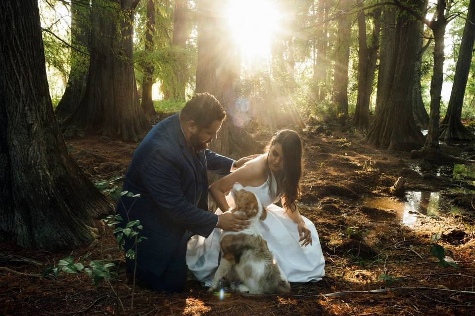 Ale & andrés, trash the dress