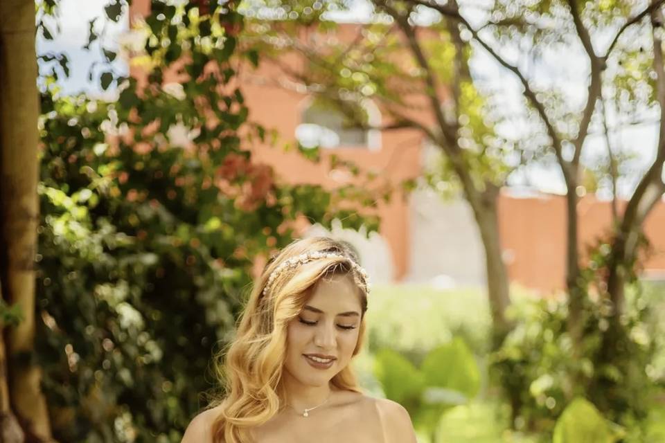 ✨