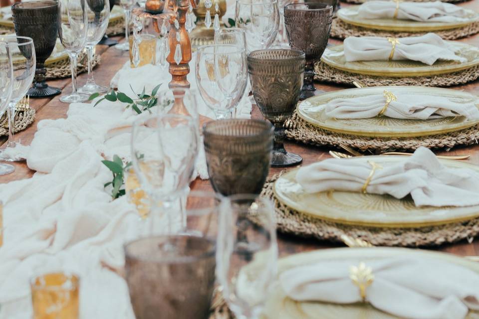 Elegant dinner